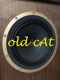 old cAt