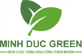 minhducgreen